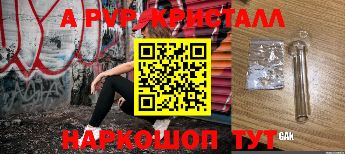 Alfa_PVP СК Сокол
