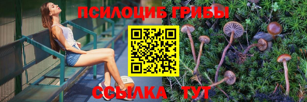Галлюциногенные грибы Magic Shrooms  Вход с VPN  Сокол  Галлюциногенные грибы прущие грибы 